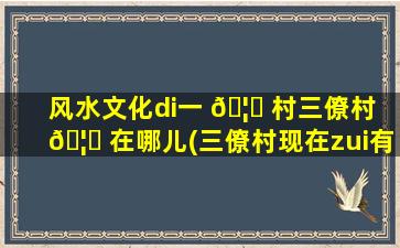 风水文化di一 🦟 
村三僚村 🦈 在哪儿(三僚村现在zui
有名望权威的风水*
)